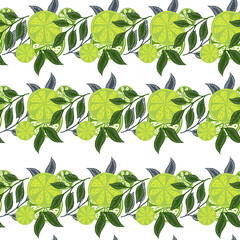 Isolated seamless pattern with green doodle lime slices citrus fruit ornament. White background. Simple style.