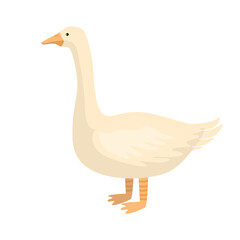 Cute goose isolated on white background. Funny cartoon character farm white color.