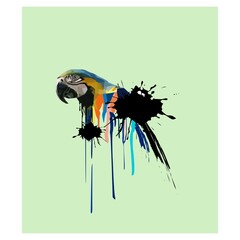 Macaw bird illustration with Low polygon isolated on splash colors background . Modern geometric design.