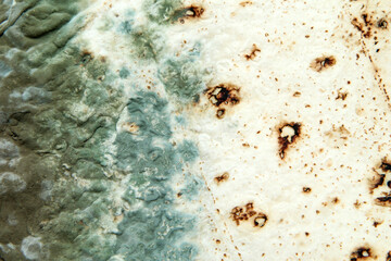 The picture of a mouldy flatbread. Rotten and uneatable. Isolated on white background. 