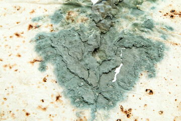 The picture of a mouldy flatbread. Rotten and uneatable. Isolated on white background. 