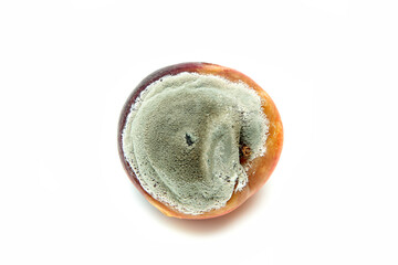 A picture of a rotten nectarine. The shape is deformed and it is inedible. Isolated on white...