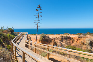 boardwalk at beautiful atlantic coast, Ponta da Piedade Lagos, Agave plant