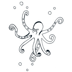 Vector drawing  of angry octopus. Hand drawn. Sketch.