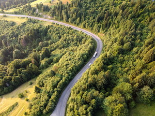 view from the drone on the coniferous forest road and cars