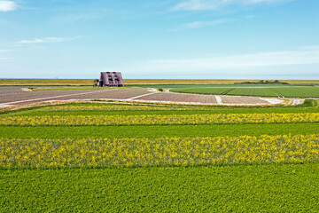 Aerial from rapeseed fields along the dyke in Friesland the Netherlands