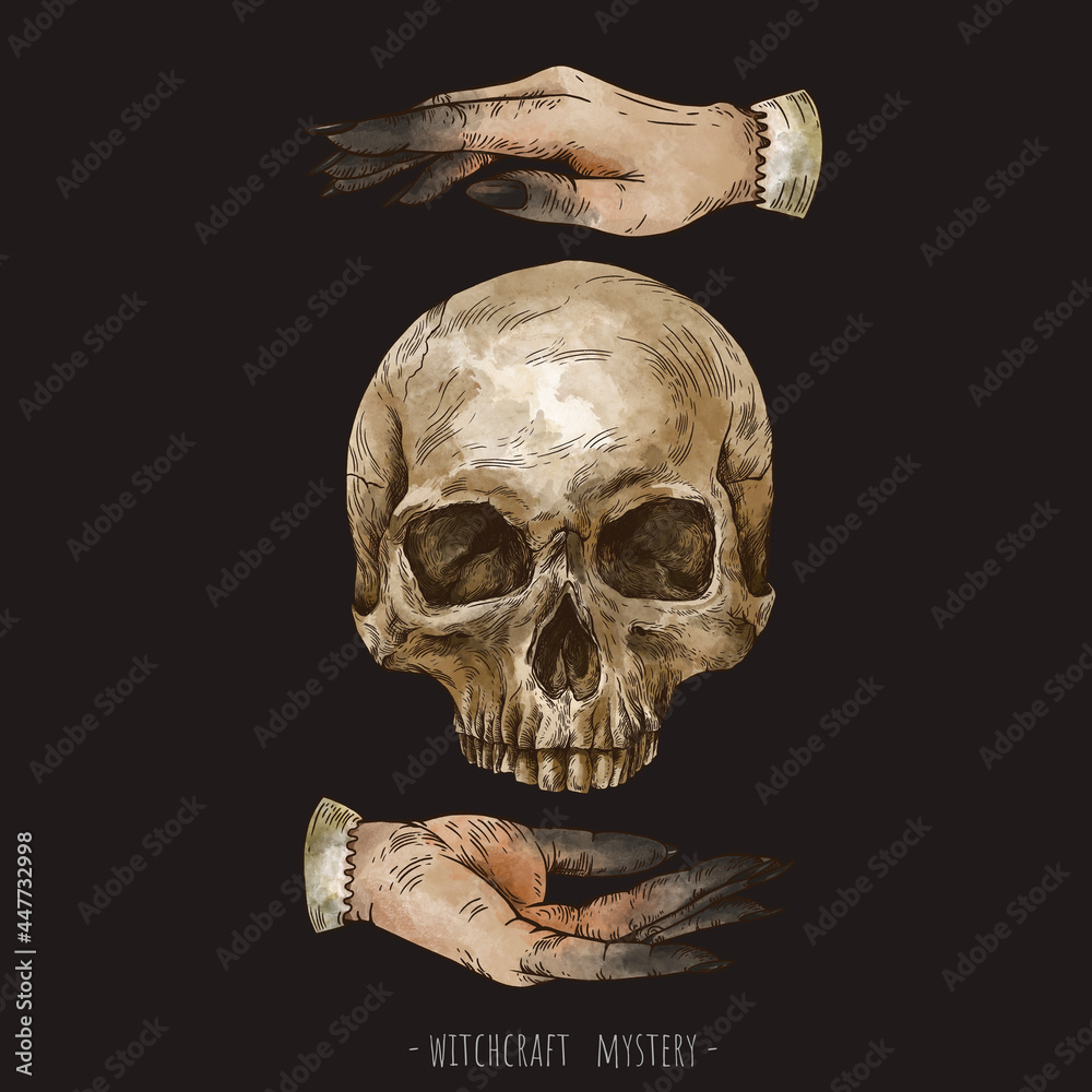 Wall mural hand drawn skull and magic hands witchcraft illustration. witch hands mysteri ilustration