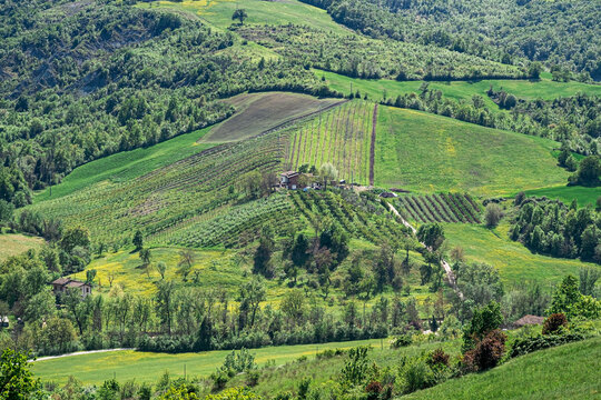 Cultivated hills near Castello di Serravalle - Castle of Serravalle in springtime. Bologna province, Emilia and Romagna, Italy