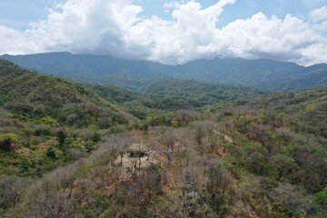 Fototapeta na wymiar Bosque tropical, paisaje 