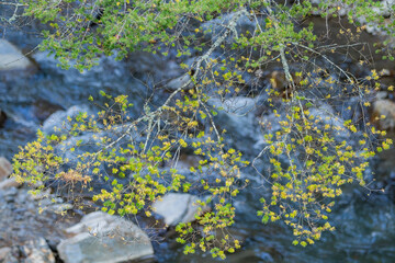 Autumn river landscape in Wuling Farm