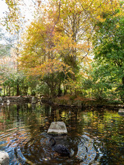 Fototapeta na wymiar Autumn landscape with a pond reflection in Wuling Farm