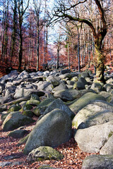 Rocks