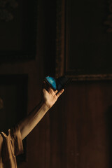 Butterfly sitting on the female hand © Sophie Garaeva