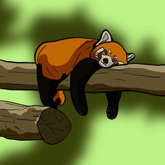 Panda roux sur sa branche