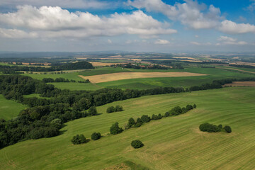 Fototapeta na wymiar landscape of meadows and trees top view
