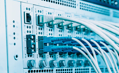 Fiber Optic cables connected to optic ports and UTP, Network cables connected to ethernet ports