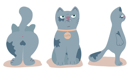 cat side view front back angry cat animal sarcasm contempt suspicion tail muzzle paws cute pet