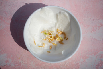 Sprouted cucumber seeds on a white napkin in a plate on the table close-up