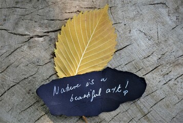 Nature yellow leaf with note on wooden background