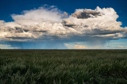 Etosha National Park during summer rainfall, Namibia.