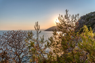 Obraz na płótnie Canvas Coucher de soleil sur la Côte d'Azur depuis le Cap Ferrat avec vue mer et pins parasols