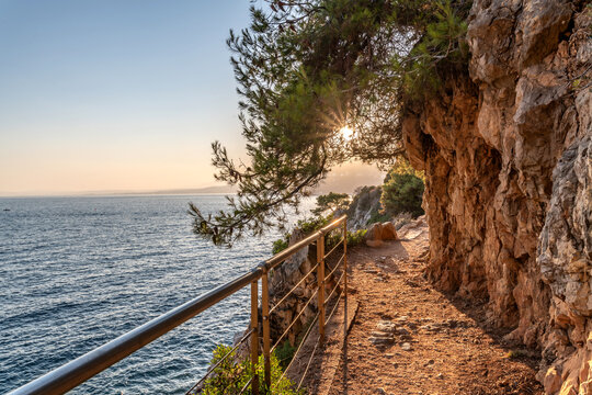 Coucher de soleil sur la C&ocirc;te d'Azur depuis le Cap Ferrat avec vue mer et pins parasols