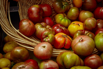 green, red, and yellow heirloom tomatoes spilling from woven basket table display at farmer's market in California