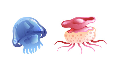 Jellyfish and Sea Jelly as Free-swimming Marine Animal with Umbrella-shaped Bells and Trailing Tentacles Vector Set