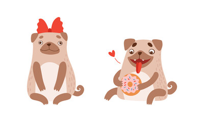 Funny Pug Dog with Curled Tail and Light Brown Coat with Donut and Bow Vector Set