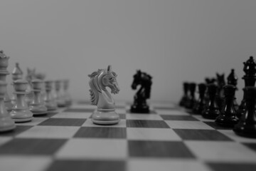 WOODEN CHESS PIECES AND BOARD IN MONOCHROMATIC THEME