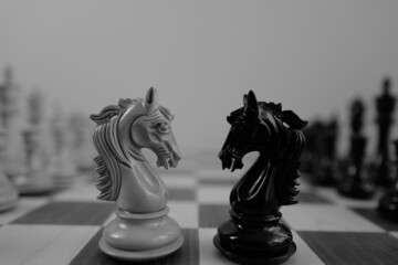 WOODEN CHESS PIECES AND BOARD IN MONOCHROMATIC THEME