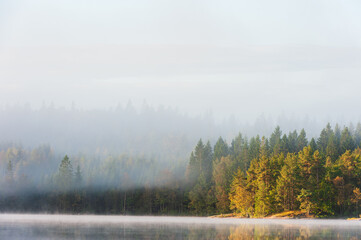 Fototapeta na wymiar Still and misty lake in autumn