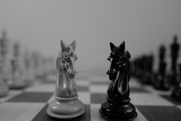 WOODEN CHESS PIECES AND BOARD IN MONOCHROMATIC THEME