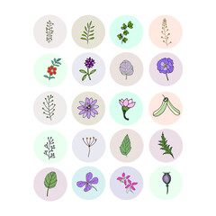 Patterned social media post template. Silhouettes of natural elements for templates, wallpaper, cards. 