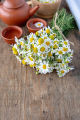 Obraz na płótnie Canvas cup of herbal chamomile tea with fresh daisy flowers on wooden background. doctor treatment and prevention of immune concept, medicine - folk, alternative, complementary, traditional medicine