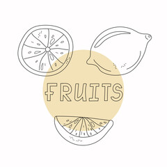 Set of lemons, fruits in doodle style. Whole citruses and slices. Vector illustration. Isolated background.