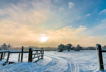 Wonderful winter morning in mist.

Mountain Kinnekulle, Sweden