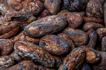 Dry roasted organic cocoa beans for the best gourmet chocolate as background. High quality photo