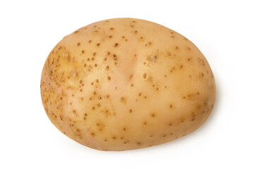 Young potato tuber isolated on white background.