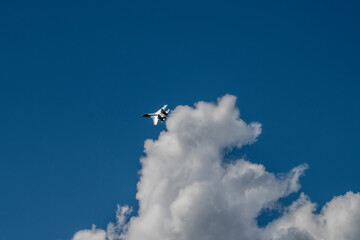   demonstration group flights of modern combat aircraft at the MAKS-21 aerospace show in Zhukovsky on July 24, 2021