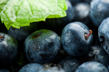  blueberry extreme macro close up