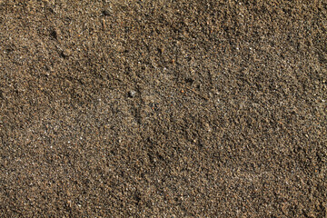 Brown Sand Texture