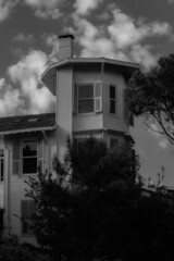 Old House in the Woods