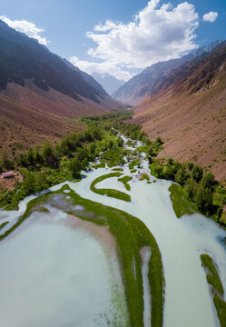 Aerial view of glacier river with vegetation in mountains. Bartang, Tajikistan