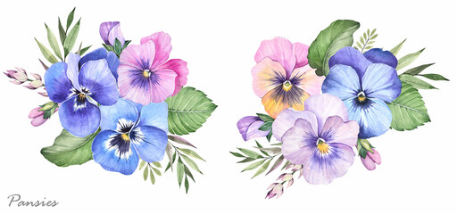 Spring plants. Beautiful bouquets of pansies. Pansy flowers on a white background. Watercolor illustration.