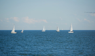 Obraz premium Aerial drone ultra wide photo of beautiful sail boats team sailing in turquoise Ionian island crystal clear sea
