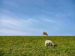 Foto auf Leinwand Hindeloopen © Holland-PhotostockNL