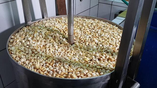 Preparation of the traditional Peruvian corn tamal, industrial corn peeler