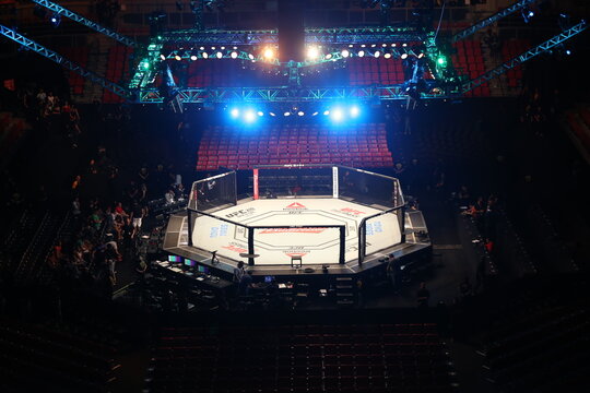 UFC 246: Meet the Ring Girls at the Conor McGregor vs Donald Cerrone Fight  - 19.01.2020, Sputnik International