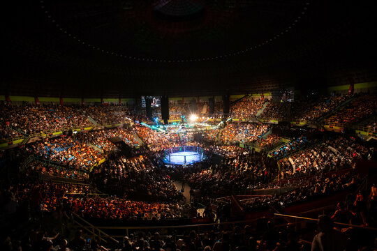 S&atilde;o Paulo, S&atilde;o Paulo, Brazil, October 28, 2017. UFC Fight Night: Brunson vs. Machida. Octagon, stadium gym